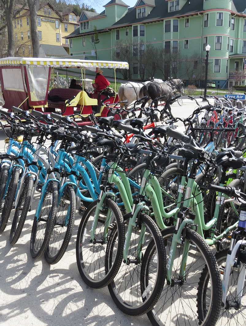 Rental Bikes with Carriage
